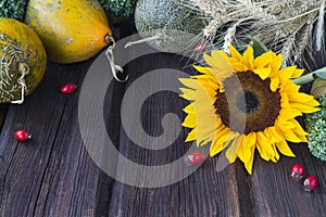Autumn nature concept. Fruits and vegetables on a wooden background. Thanksgiving Dinner