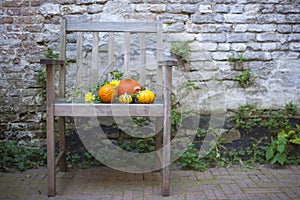 Autumn nature. Fall fruit on wood. Thanksgiving. autumn vegetables on an old chair in the garden