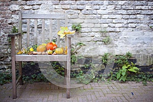 Autumn nature. Fall fruit on wood. Thanksgiving. autumn vegetables on an old chair in the garden, free space for text