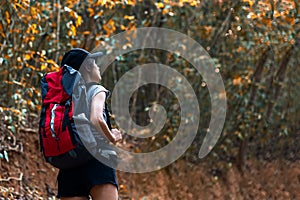 Autumn nature hiker asian young women walking in national park with backpack.