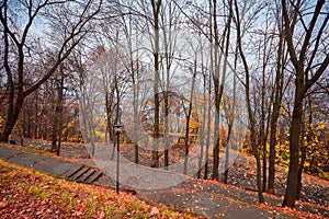 Autumn nature landscape. Autumn in the city park.