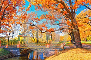 Autumn nature landscape. Lake bridge in fall park. Path way in gold woods. Romantic view image scene Magic sunny pond Re