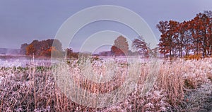 Autumn nature landscape in november. Panoramic view on meadow and trees covered hoarfrost. Fall. Scenery of Autumn morning.