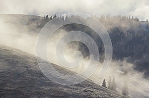 Autumn nature landscape in rodnei mountains with trees, sky and clouds in the morning