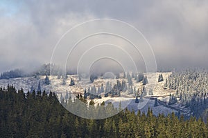 Autumn nature landscape in rodnei mountains with trees, sky and clouds in the morning