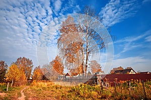 Autumn nature. Landscape on sunny bright day. Colorful trees on beautiful meadow in the morning.