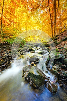 Autumn nature - mountain waterfall stream in the rocks with colorful fallen dry leaves, landscape