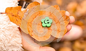 Autumn nature smile. Dry fall season oak leaf in child palm with green wooden acessory in flower shape with smiley face