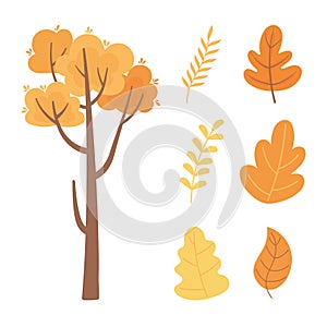 Autumn nature tree branch leaf foliage icons collection