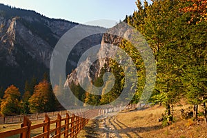 Autumn near Bicaz canion