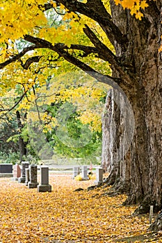 Autumn in new England Graveyard