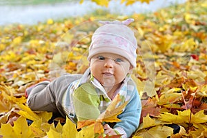 Autumn newborn baby girl lying in maple leaves and looks at camera. Close up portrait.