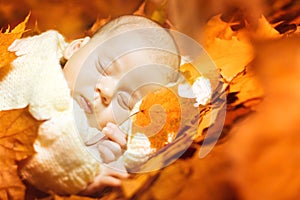 Autumn Newborn Baby Sleep, New Born Kid Sleeping in Fall Leaves