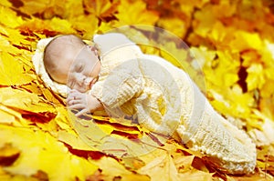 Autumn newborn baby sleeping in maple leaves.