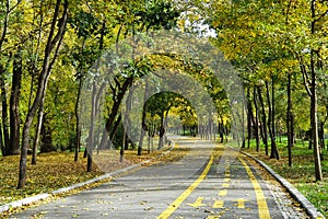 Autumn in Nicolae Romanescu park, Craiova