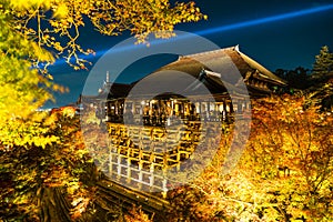 Autumn night light up at Kiyomizu-dera temple and the large vera
