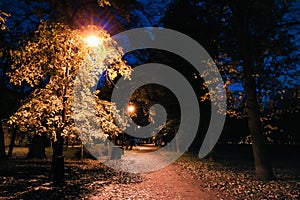 Autumn night park. City park at twilight with street lights, pathway, alley and trees.