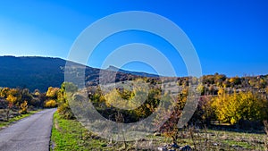 Autumn in the North-West of Bulgaria