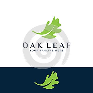 Autumn oak leaf logo and oak tree logo. With easy and simple editing of vector illustration