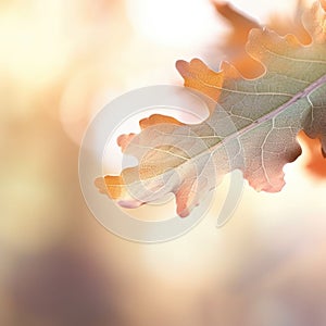 Autumn oak leaf on a sunny day, AI