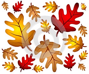 Autumn Oak Leaves Background