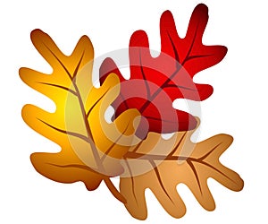 Autumn Oak Tree Leaves Clipart