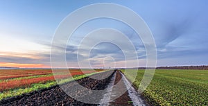 Autumn off-season. A dirt road between a plowed field and a green field, the sky in the colors of the sunset. Panoramic view