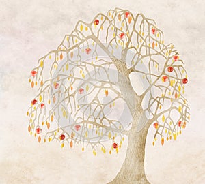 Autumn for an old apple tree