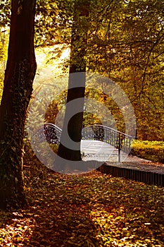 Autumn - Old bridge in autumn park