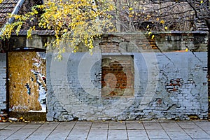 Autumn old wall