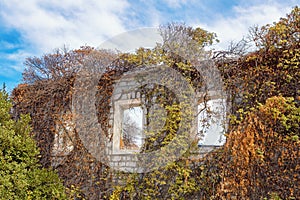 Autumn, oldness. Wall with windows of old ruined house