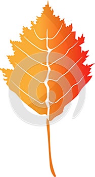 Autumn. One leaf of a tree in orange tones.