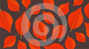 Autumn orange background with leaves. Modern pattern for shopping sale, promo poster or web banner. Vector illustration