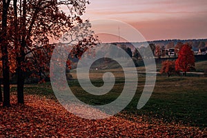 Autumn orange forest trees in a park with green grass and yellow leaves, evening. Beautiful foliage with mist, with grain