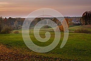 Autumn orange forest trees in a park with green grass and yellow leaves, evening. Beautiful foliage with mist, with grain