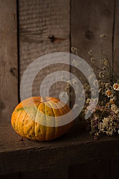 Autumn orange small pumpkin on wooden table. Thanksgiving, coutryside And Fall Background.