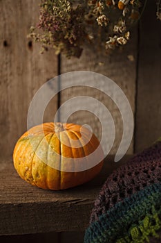 Autumn orange small pumpkin on wooden table. Thanksgiving, coutryside And Fall Background.