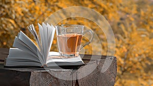 Autumn outdoor leisure. Open book and herbal tea in glass cup on wooden bench in autumn forest or park autumnal colours