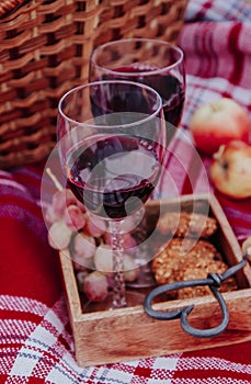 Autumn outdoor picnic set. A bottle of red wine, two wine glasses, checked plaid, grape, apple and cookies.