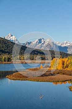 Autumn at Oxbow Bend