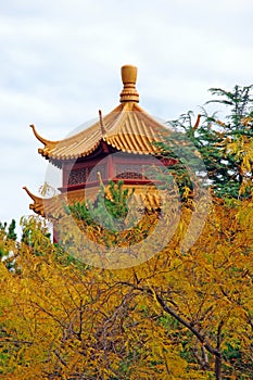 Autumn Pagoda