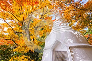 Autumn Pagoda in Kyoto Japan