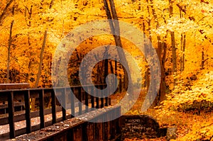 Autumn on the Paint Creek Bridge