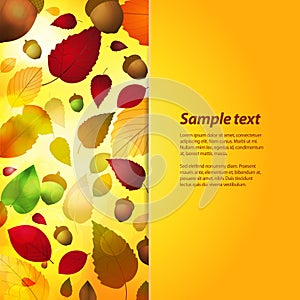 Autumn panel background with sample text