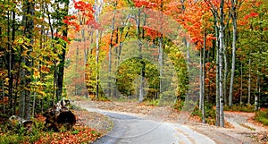 Autumn Panorama photo