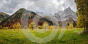 Autumn panorama in the Eng-Alm in Tyrol with yellow maple trees