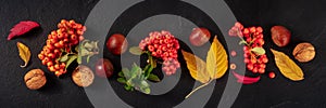 Autumn panorama with fall leaves and chestnuts, a top flat lay shot