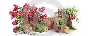 Thanksgiving day backgrounAutumn panorama from fruits ,vegetables and berries.Still life with flowers ,cucurbits , grapes , apples