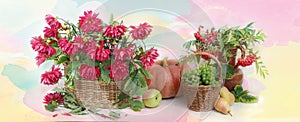 Thanksgiving day backgrounAutumn panorama from fruits ,vegetables and berries.Still life with flowers ,cucurbits , grapes , apples