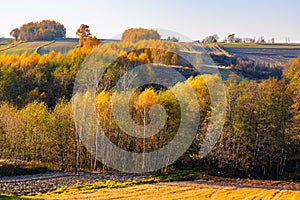Autumn panoramic view of hill fields and meadows with forest surrounding Zagorzyce village in Podkarpacie region of Poland